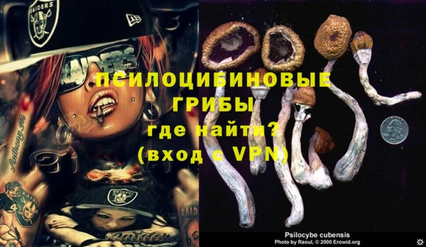 ECSTASY Пестово