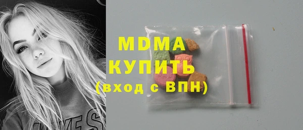дживик Туринск