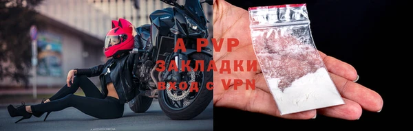 прущие крисы Тында