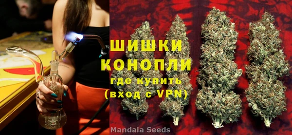 индика Тутаев