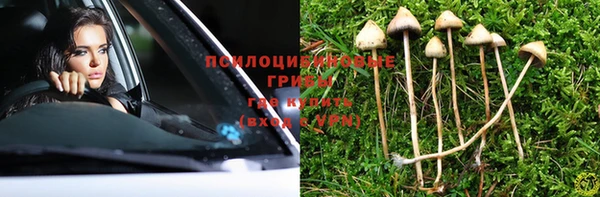 a pvp Пересвет