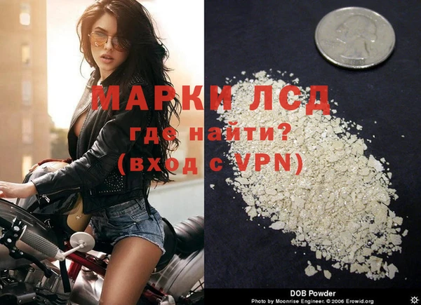 a pvp Пересвет