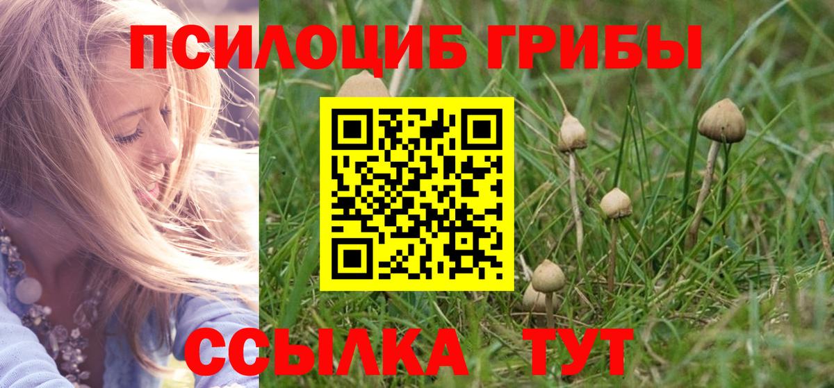 Галлюциногенные грибы GOLDEN TEACHER  Скопин 