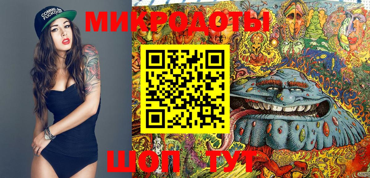 где найти   Вход с VPN  Скопин  Галлюциногенные грибы мицелий 
